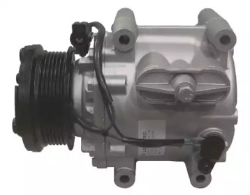 lizarte 810500004