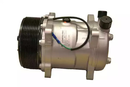 LIZARTE 811011053