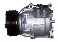 lizarte 811052002