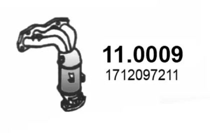 ASSO 110009