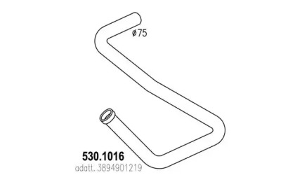ASSO 530.1016