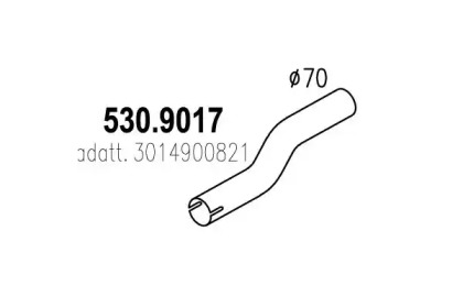 ASSO 530.9017
