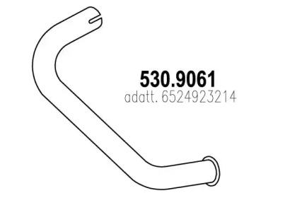 ASSO 530.9061