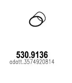 ASSO 530.9136
