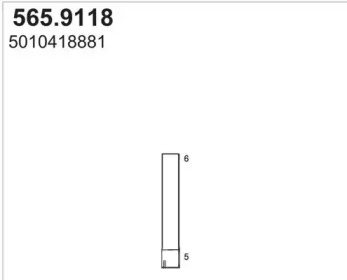 ASSO 565.9118