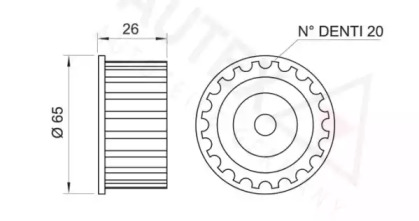 AUTEX 641137