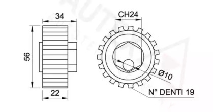 AUTEX 641608