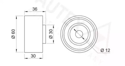 AUTEX 641817