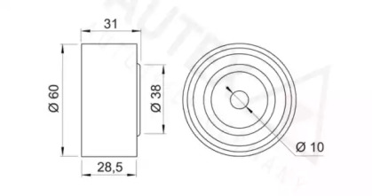 AUTEX 651567