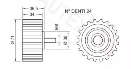 AUTEX 651851