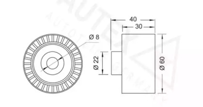 AUTEX 652030