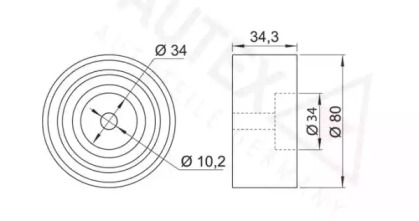 AUTEX 652054