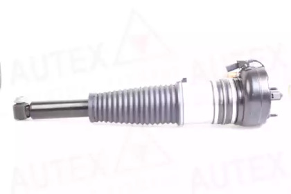 AUTEX 933019