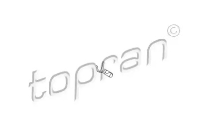 TOPRAN 100 598