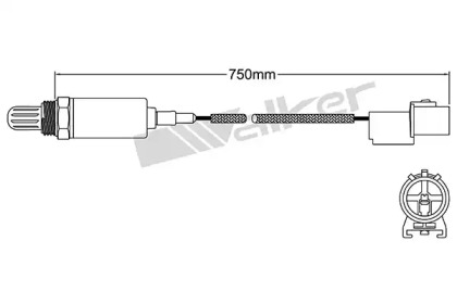 WALKER PRODUCTS 250-21066