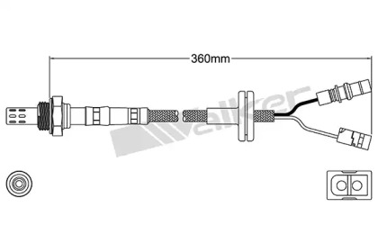 walker products 25023063