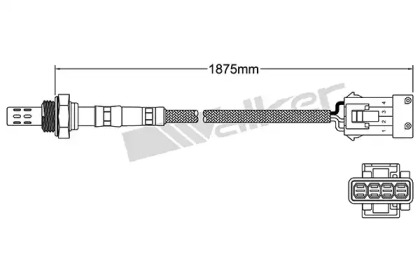 walker products 25023070