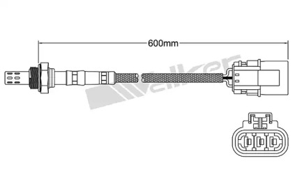 walker products 25023087