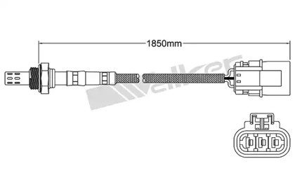 walker products 25023093