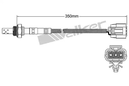 walker products 25023094