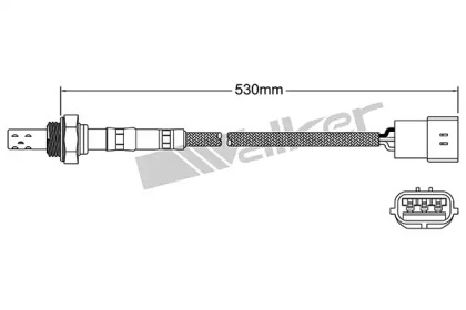 walker products 25023097