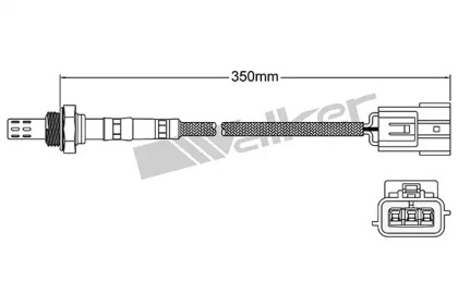 walker products 25023159