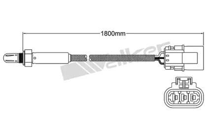 walker products 25023503