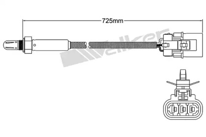 walker products 25023509