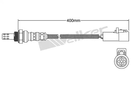 walker products 25024001