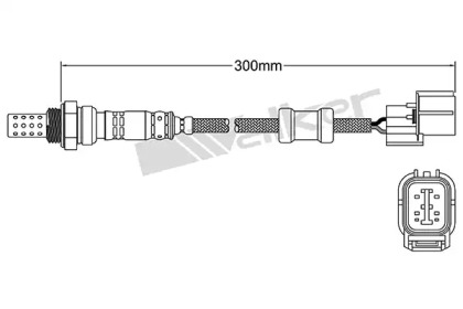 walker products 25024011