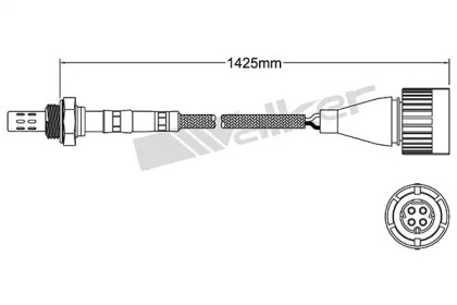 walker products 25024021