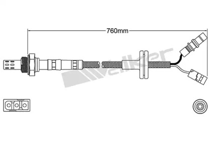 walker products 25024034