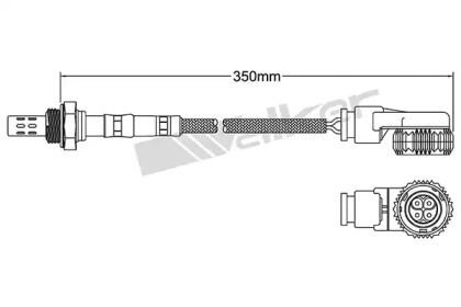 walker products 25024038