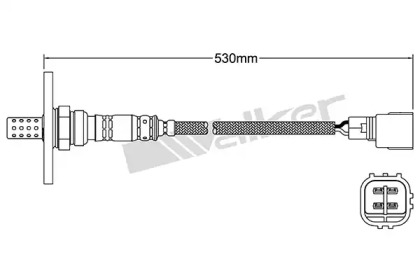 walker products 25024052