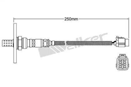 walker products 25024059