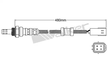 walker products 25024067