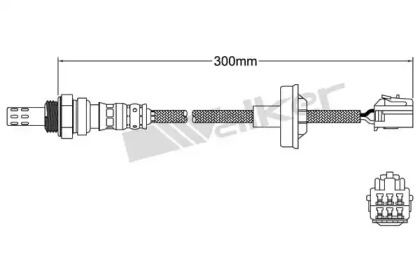 WALKER PRODUCTS 250-24074