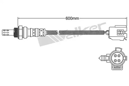 walker products 25024076