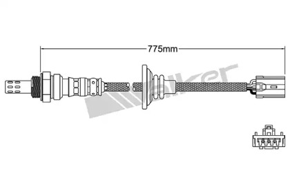 WALKER PRODUCTS 250-241020