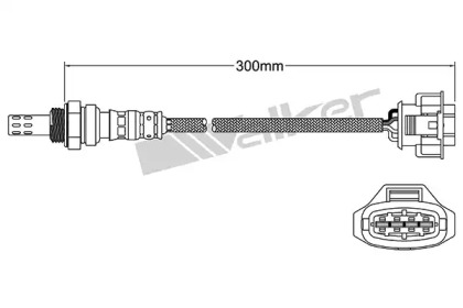 WALKER PRODUCTS 250-241030