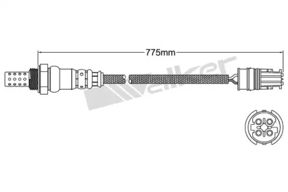 WALKER PRODUCTS 250-241053