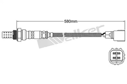 walker products 25024106