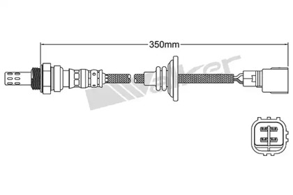 WALKER PRODUCTS 250-241061