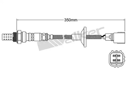 walker products 25024107