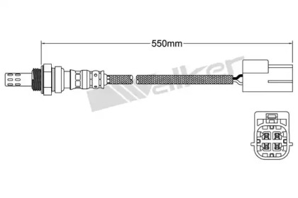 WALKER PRODUCTS 250-241081