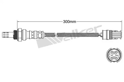 WALKER PRODUCTS 250-241086