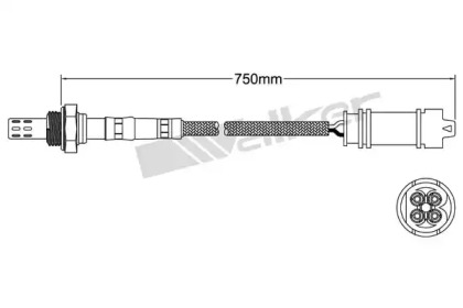 WALKER PRODUCTS 250-241092