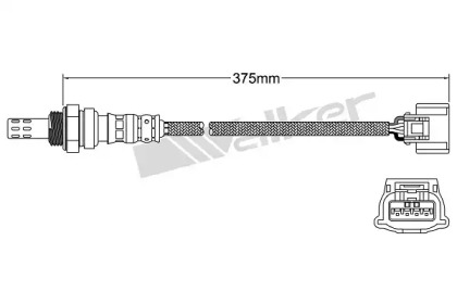 walker products 250241104