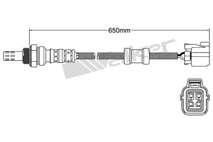 walker products 25024121