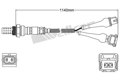 walker products 25024132